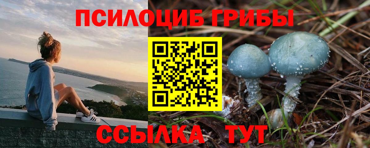 Псилоцибиновые грибы Psilocybe  Вход с VPN  Губкин  Галлюциногенные грибы Cubensis 