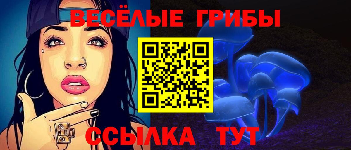 Галлюциногенные грибы ЛСД Губкин