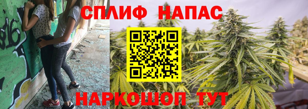 Бошки Шишки AK-47  Шишки марихуана сатива  Вход с VPN  МАРИХУАНА тримм  Каннабис сатива  Губкин 